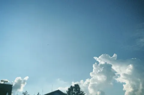 関 有美子｜🌸。（2021-09-01）｜12枚目
