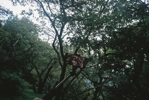 関 有美子｜🌸。（2021-10-17）