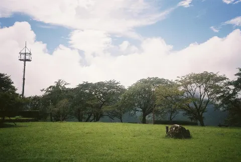 関 有美子｜🌸。（2021-10-17）｜7枚目