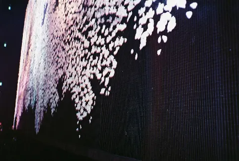 関 有美子｜🌸。（2022-01-24）｜3枚目