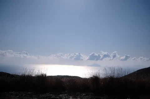 関 有美子｜🌸。（2022-03-16）