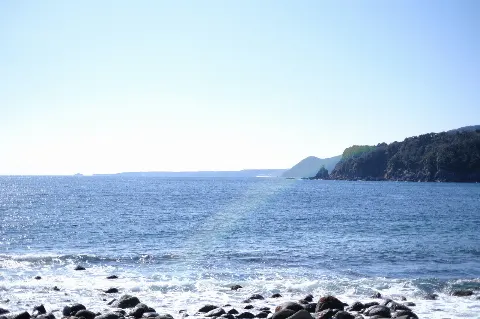 関 有美子｜🌸。（2022-03-16）｜2枚目