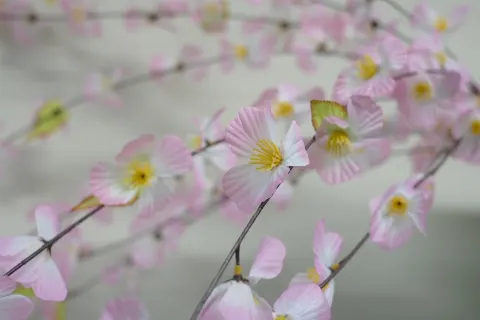 関 有美子｜🌸。（2022-11-21）｜11枚目