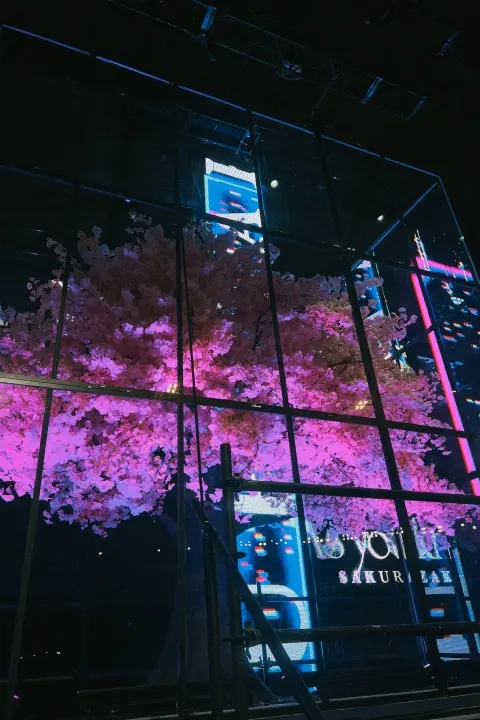 関 有美子｜🌸。（2022-11-21）｜13枚目