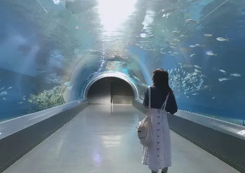 関 有美子｜髪の毛（2019-06-07）｜5枚目
