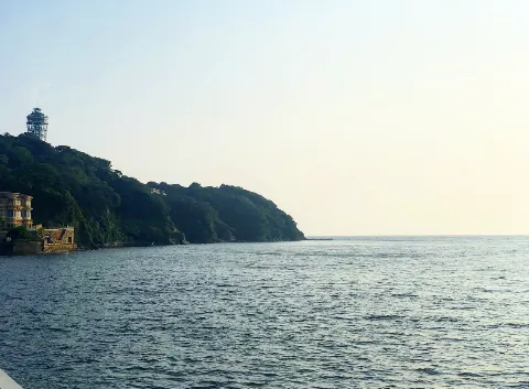 関 有美子｜🏝。（2019-08-02）｜2枚目