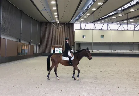 菅井 友香｜今日もいななきます🐴（2020-11-02）｜2枚目
