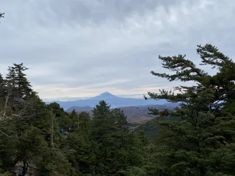菅井 友香｜1stシングルヒット祈願🗻（2020-12-12）｜2枚目