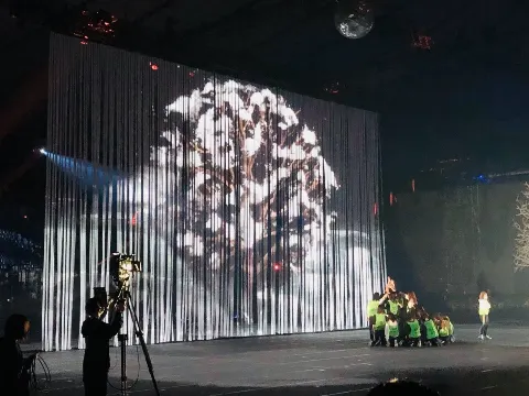 菅井 友香｜🌳2020年🌸（2020-12-31）