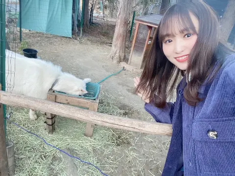 菅井 友香｜今夜は📺♩（2021-04-10）｜6枚目