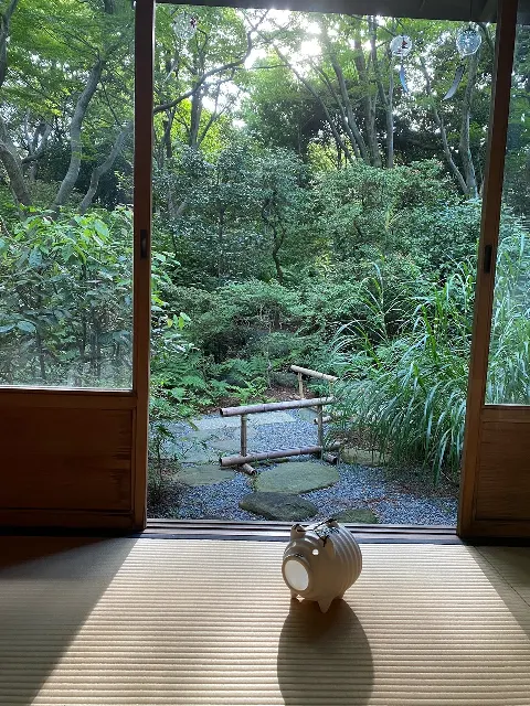 菅井 友香｜今日は何の日🌳（2021-08-21）｜7枚目