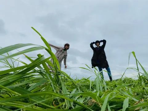 菅井 友香｜Dead end!!（2021-09-27）｜2枚目