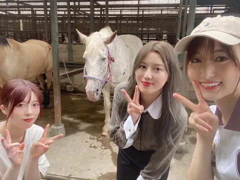 菅井 友香｜🌸SAKURA_MEGURI🐴（2021-10-12）｜3枚目