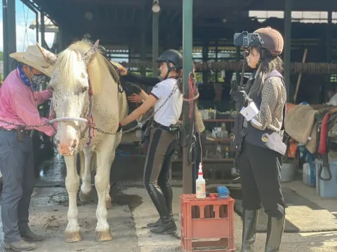 菅井 友香｜🌸SAKURA_MEGURI🐴（2021-10-12）｜7枚目