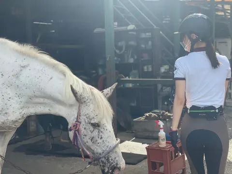 菅井 友香｜🌸SAKURA_MEGURI🐴（2021-10-12）｜11枚目