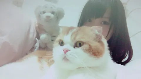 菅井 友香｜もうすぐHALLOWEEN♪（2016-10-20）｜3枚目