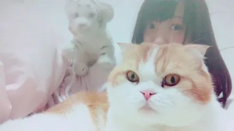 菅井 友香｜もうすぐHALLOWEEN♪（2016-10-20）｜2枚目