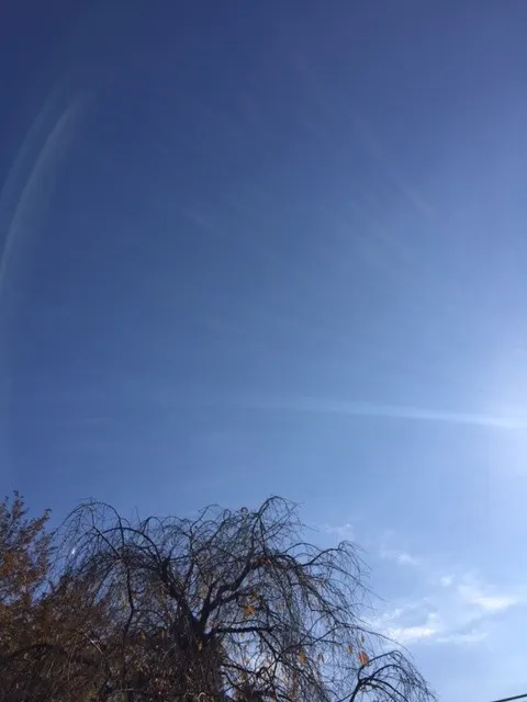 菅井 友香｜青空☀︎（2016-12-10）｜2枚目
