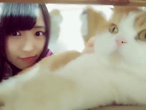 菅井 友香｜にゃー（2017-02-01）｜2枚目