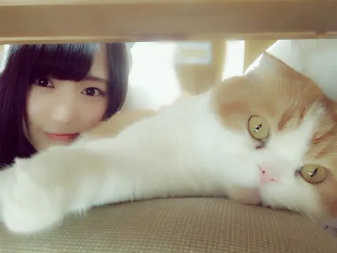 菅井 友香｜にゃー（2017-02-01）