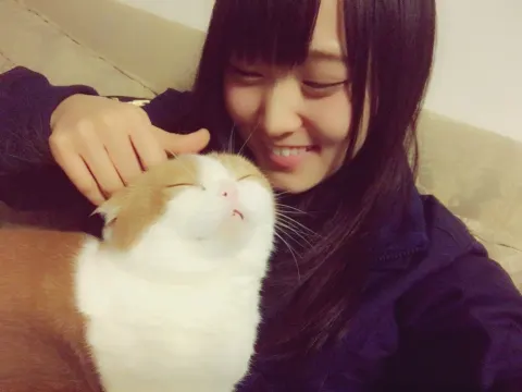 菅井 友香｜居座りトム(   ￣ω￣   )（2017-02-06）
