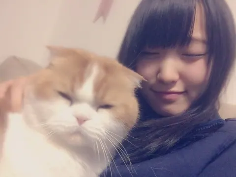 菅井 友香｜にゃんこの日（2017-02-23）｜2枚目