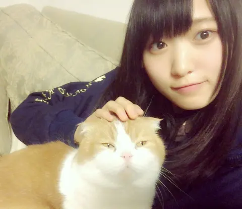 菅井 友香｜居座りトム(   ￣ω￣   )（2017-02-06）｜3枚目