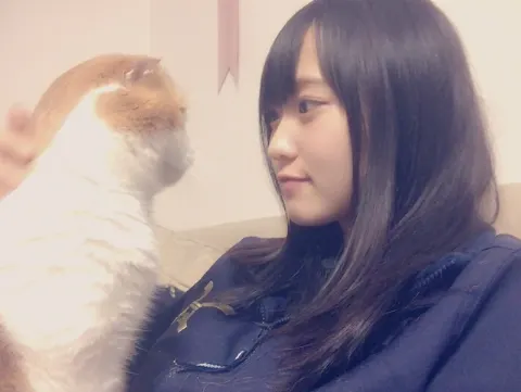 菅井 友香｜にゃんこの日（2017-02-23）