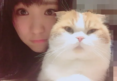 菅井 友香｜はらぺこトムにゃん（2017-03-17）