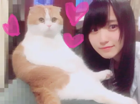 菅井 友香｜甘えん坊（2017-06-22）