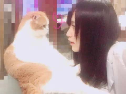 菅井 友香｜甘えん坊（2017-06-22）｜2枚目