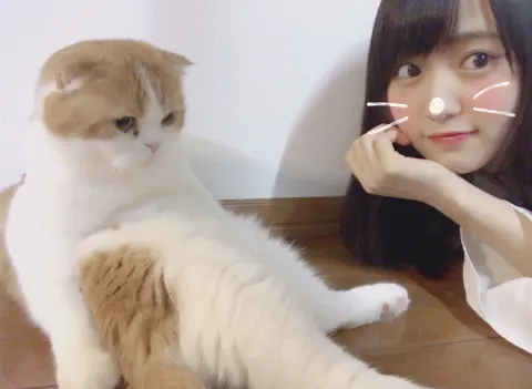 菅井 友香｜今日はなんの日( ˙꒳​˙ )?（2017-10-06）