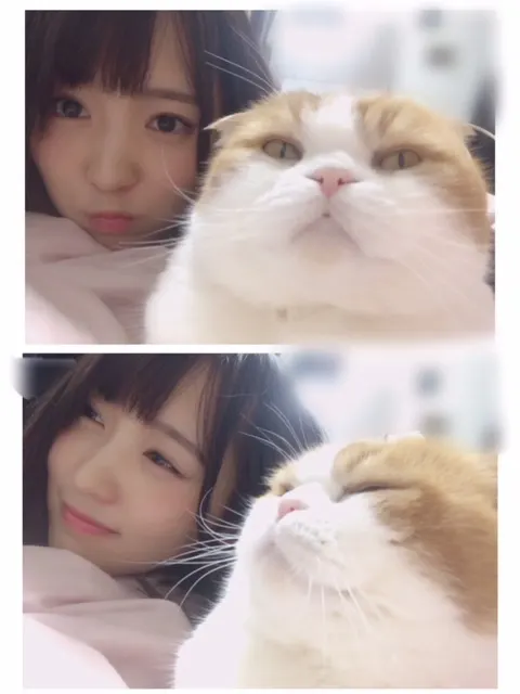 菅井 友香｜刺激（2018-03-03）｜2枚目
