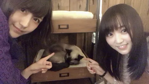 菅井 友香｜人生初の🐈♪（2018-03-03）