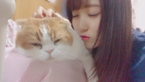 菅井 友香｜似てる?（2018-05-26）｜2枚目