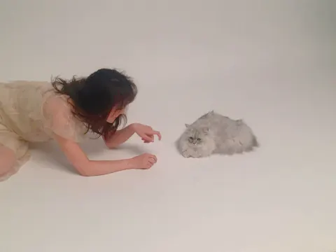 菅井 友香｜福岡ありがとう😊（2018-08-13）｜4枚目