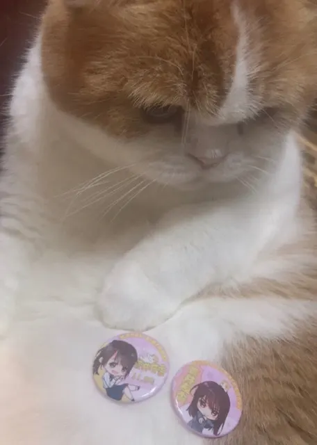 菅井 友香｜嬉しかった生誕祭🕯（2018-11-28）｜7枚目