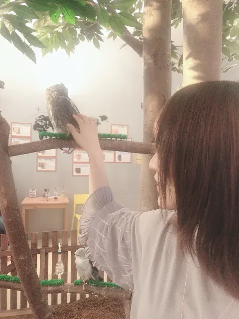 菅井 友香｜ぴよぴよ🐣（2019-08-31）｜5枚目