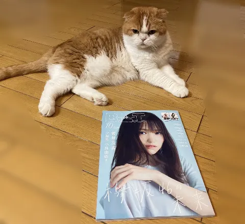 菅井 友香｜「B.L.T.10月号」さん発売✨（2020-08-24）｜2枚目