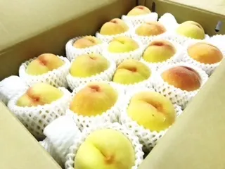 鈴本 美愉｜(^^)（2017-08-18）｜3枚目