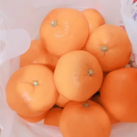 上村 莉菜｜三ヶ日みかん（2017-12-11）