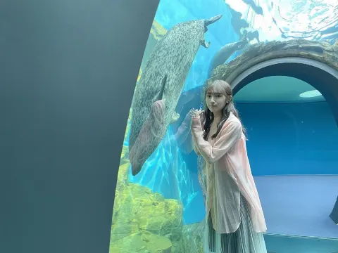 渡辺 梨加｜水族館🐠🐡🐟🦈（2020-11-28）｜3枚目