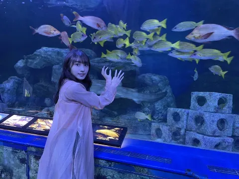 渡辺 梨加｜水族館🐠🐡🐟🦈（2020-11-28）｜5枚目
