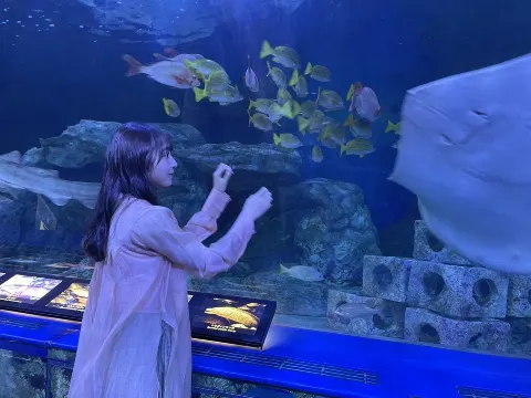 渡辺 梨加｜水族館🐠🐡🐟🦈（2020-11-28）｜6枚目