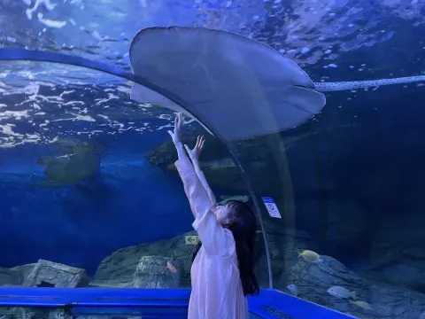 渡辺 梨加｜水族館🐠🐡🐟🦈（2020-11-28）｜7枚目