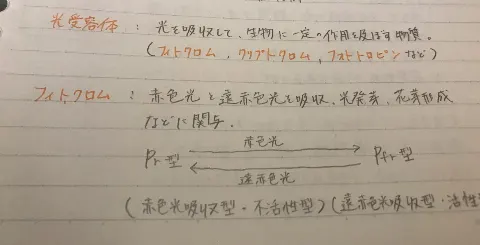 米谷 奈々未｜イメージするとよき……?（2017-05-25）