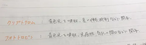 米谷 奈々未｜イメージするとよき……?（2017-05-25）｜2枚目