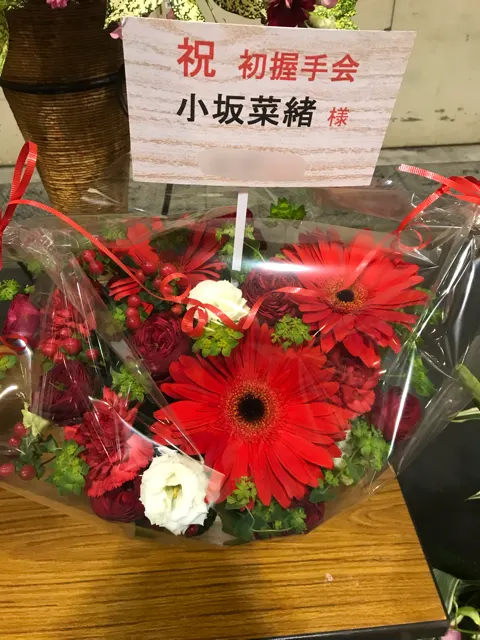 小坂 菜緒｜素敵な1日🌷 小坂菜緒（2018-01-17）｜5枚目