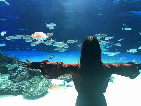 小坂 菜緒｜2019年のおわりのひ。（2019-12-31）｜2枚目