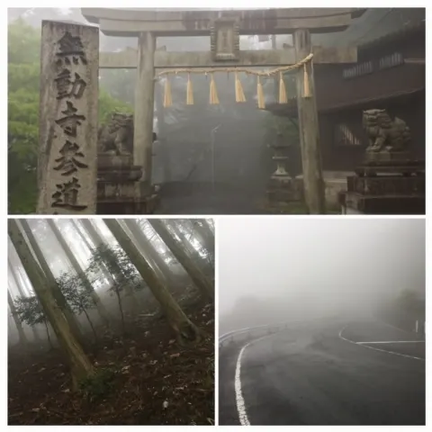 森本 茉莉｜寒くて、寒くて、震える。（2020-05-22）｜6枚目